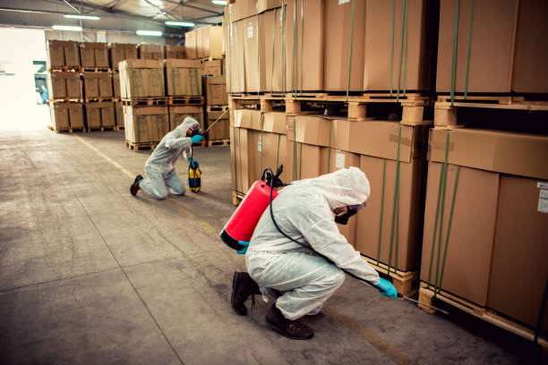 Best Ant Control Services  in La Huerta, NM