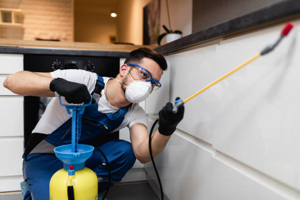 Best Termite Control Services  in La Huerta, NM