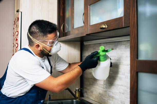 Best Best Pest Control Near Me  in La Huerta, NM