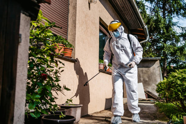 Best Residential Pest Control  in La Huerta, NM