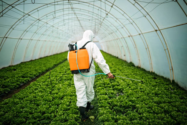 Best Ant Control Services  in La Huerta, NM