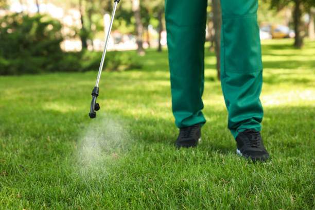 Best Mosquito Control Services  in La Huerta, NM