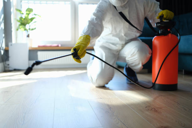 Best Pest Removal Services  in La Huerta, NM