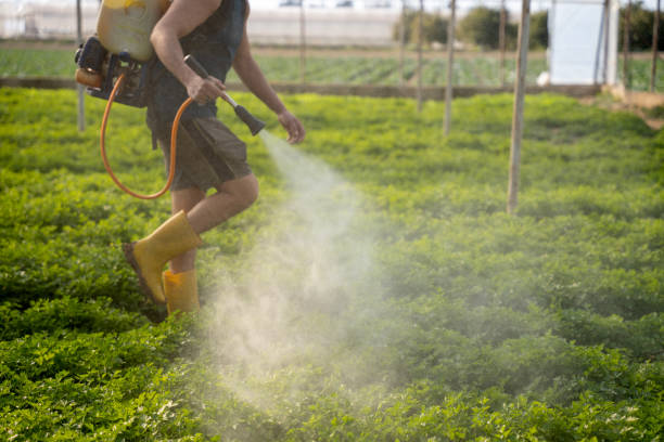 Best Exterminator Services  in La Huerta, NM