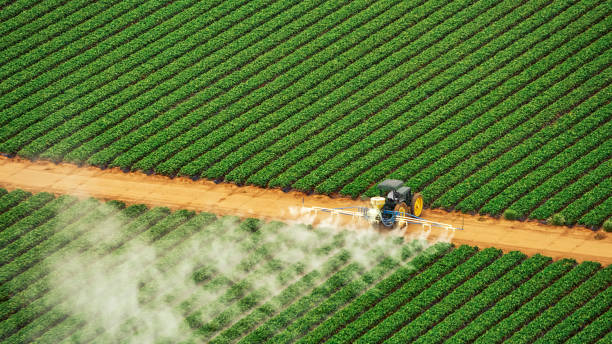 Best Mosquito Control Services  in La Huerta, NM