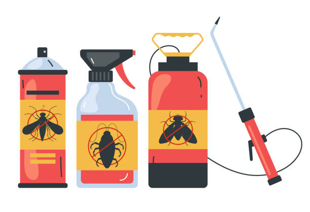 Best Ant Control Services  in La Huerta, NM