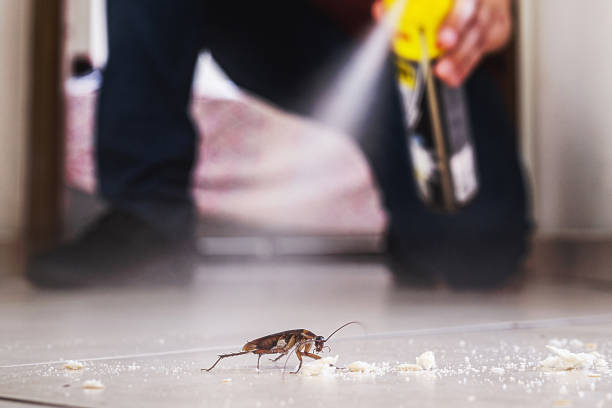 Best Termite Control Services  in La Huerta, NM